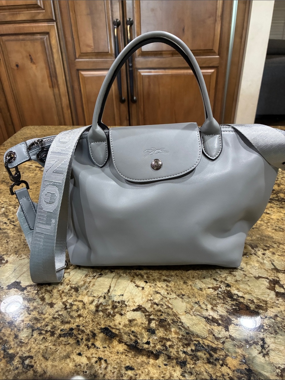 Longchamp le Pliage leather small